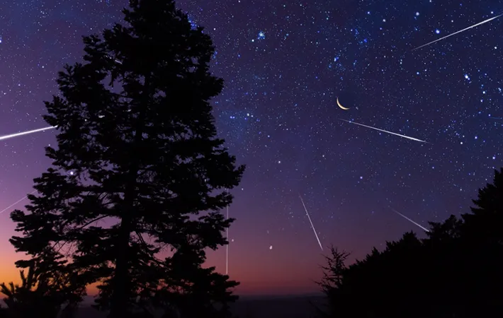 しし座流星群以外の有名な流星群もチェック！