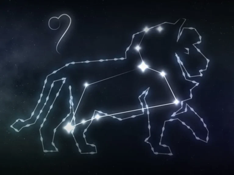 【2025年】今年のしし座流星群はいつ見頃？方角や観測を楽しむコツ、次回の大出現予測まで紹介！