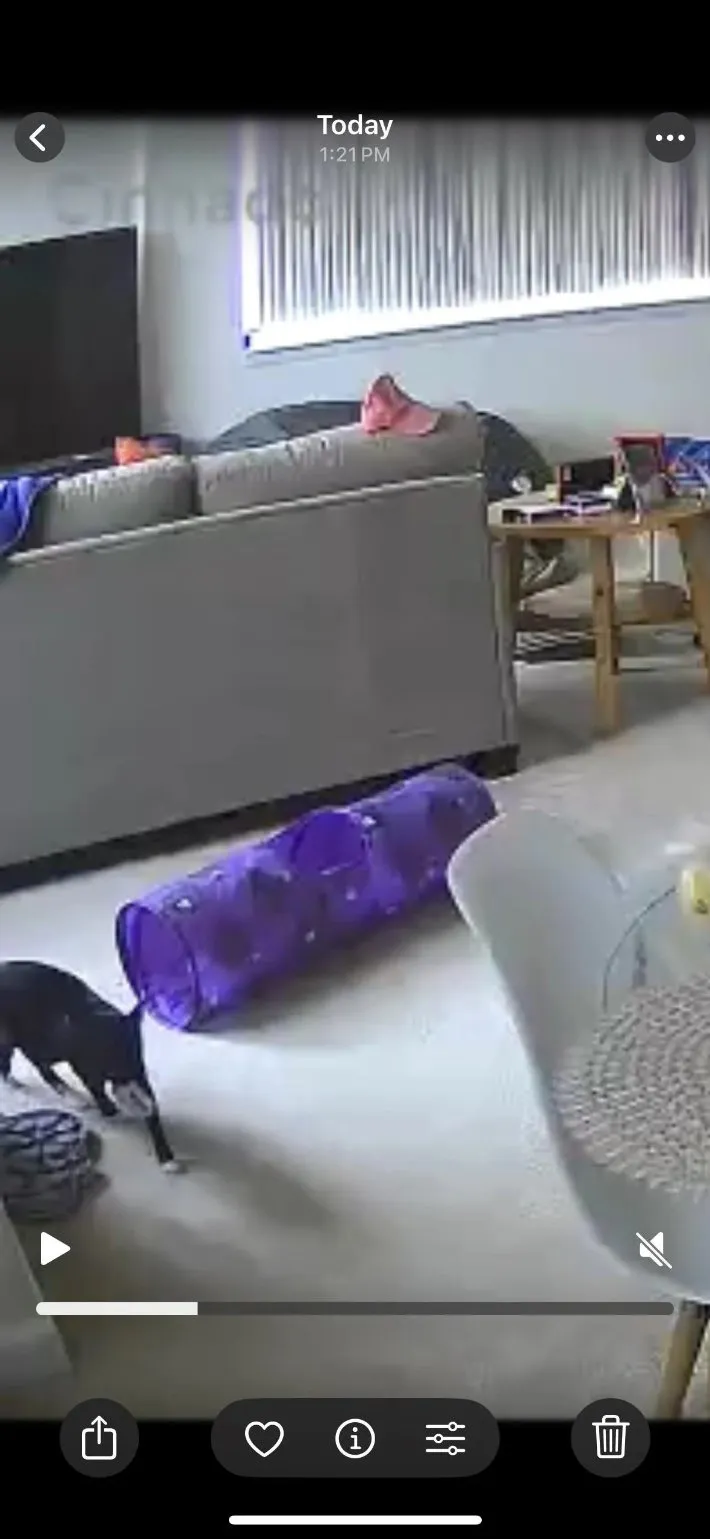 監視カメラの映像の写真