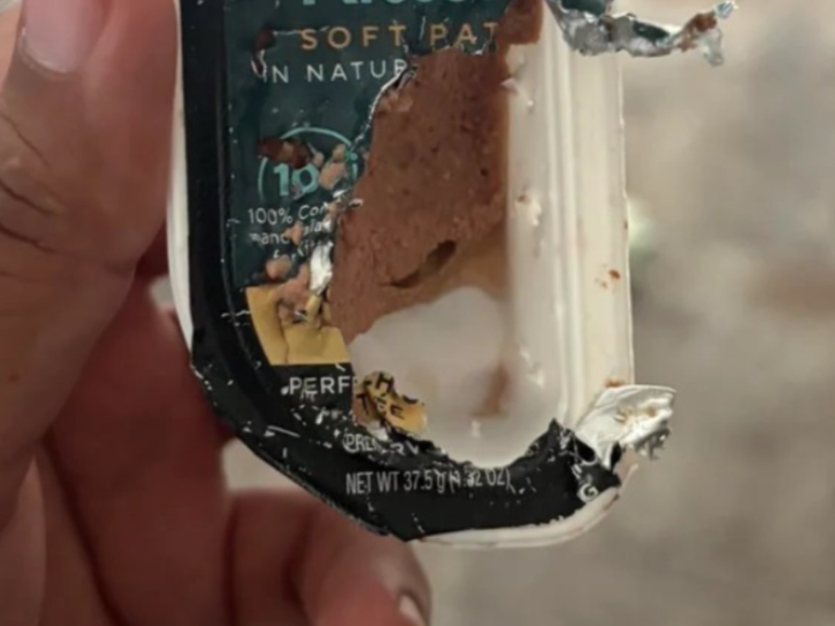 猫のごはんの写真