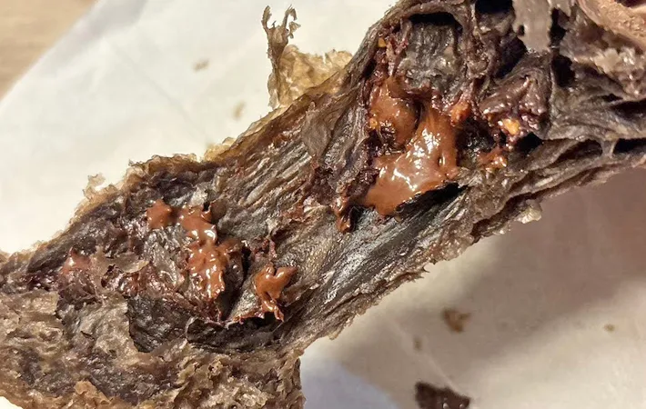 『三角チョコパイ』の写真（撮影：キジカク）