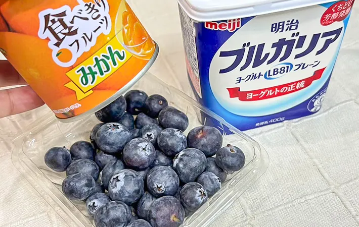 『一口フローズンヨーグルト』材料の写真（撮影：キジカク）