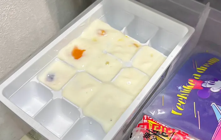 冷凍庫に入れる写真（撮影：キジカク）