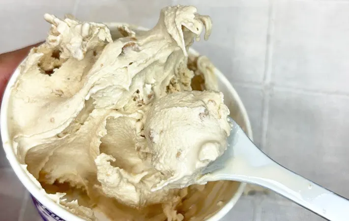 『アイスをホイップするスプーン』の使用写真（撮影：キジカク）