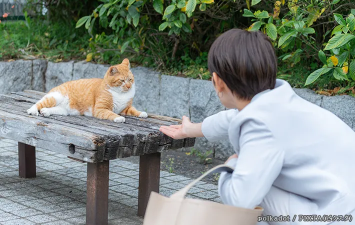 猫と女性の写真