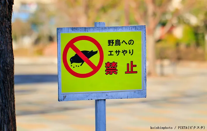 エサやり禁止の看板