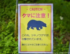 野生動物の注意喚起看板の写真