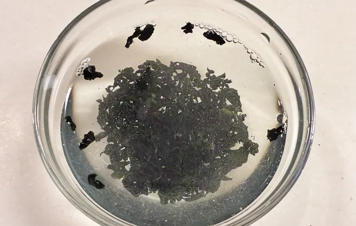 『わかめのきんぴら』を作る写真（撮影：エニママ）