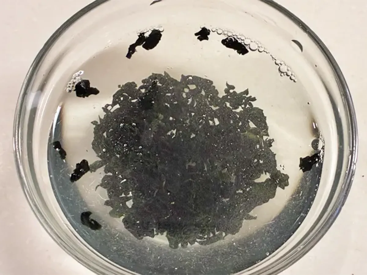 『ワカメのきんぴら』の作り方の画像(撮影:エニママ)