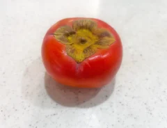 柿の写真(撮影:エニママ)