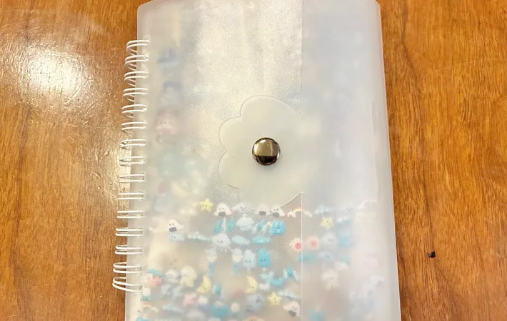 『セリア めくれるフォトスタンドにもなるアルバム』の使用写真（撮影：エニママ）