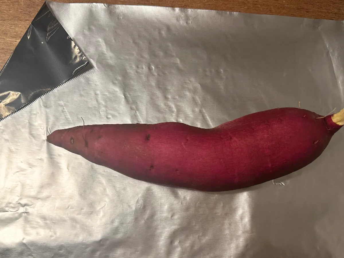 ブラックホイルの写真（撮影：エニママ）