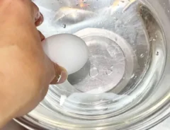 『卵を短時間で常温に戻す方法』の写真（撮影：キジカク）