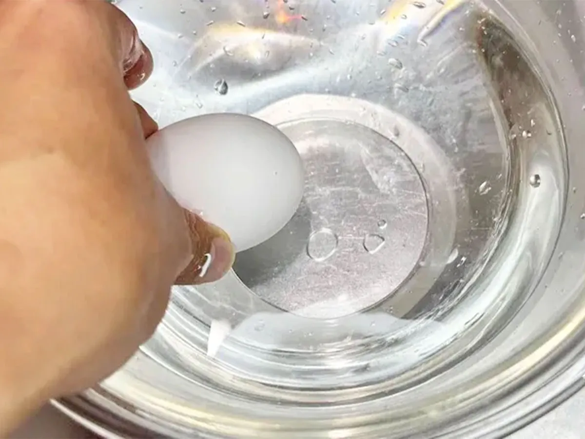 『卵を短時間で常温に戻す方法』の写真(撮影:キジカク)