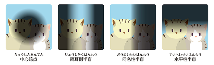 中外製薬のウェブサイトの画像