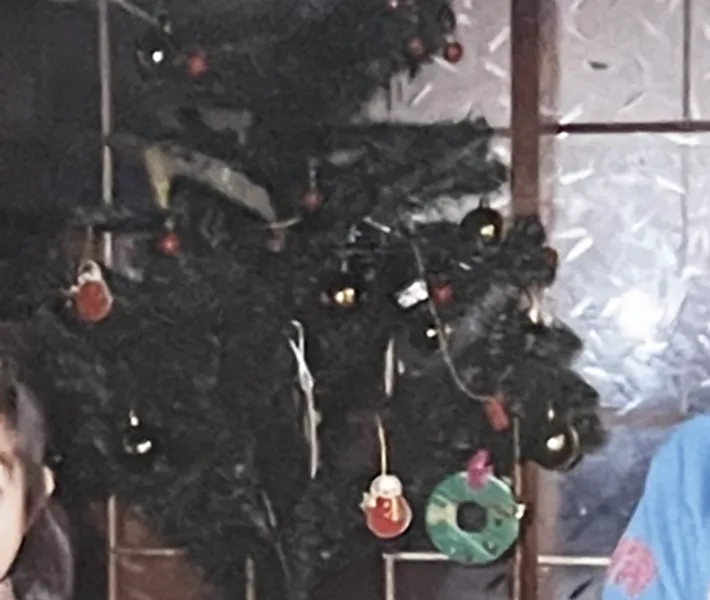 筆者宅のクリスマスツリーの写真