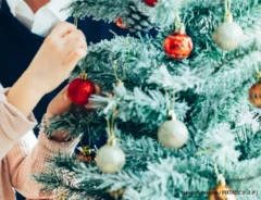 クリスマスツリーの写真