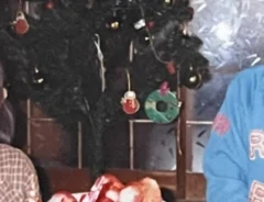 クリスマスツリーの写真