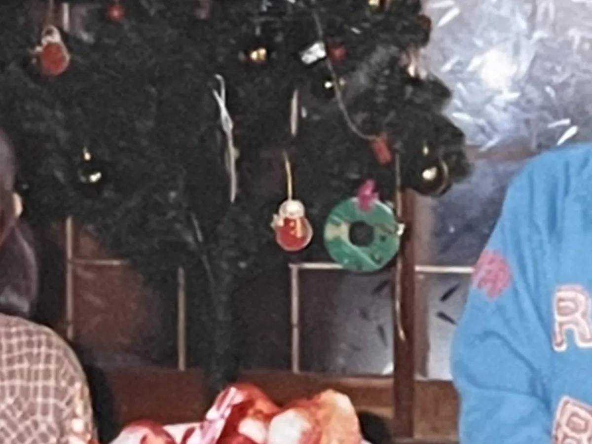 クリスマスツリーの写真