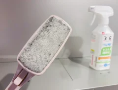 『エチケットブラシ』の写真（撮影：熊田朱実）