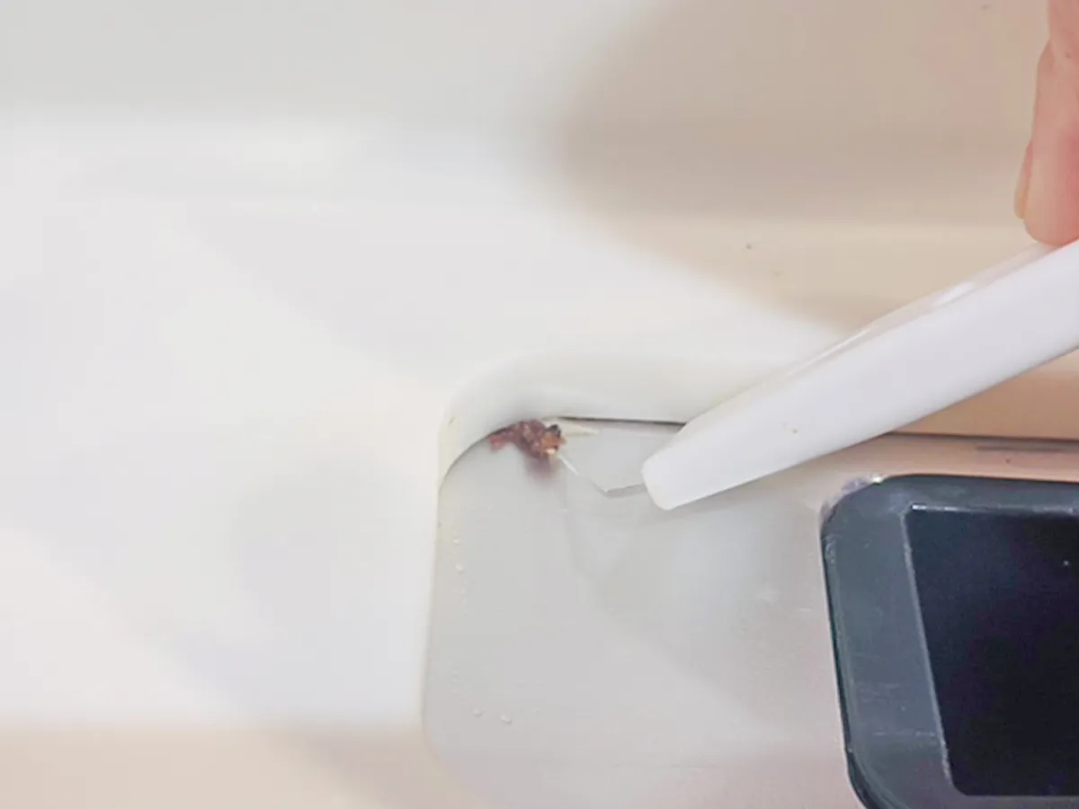 『かき出しヘラ』の写真（撮影：熊田朱実）