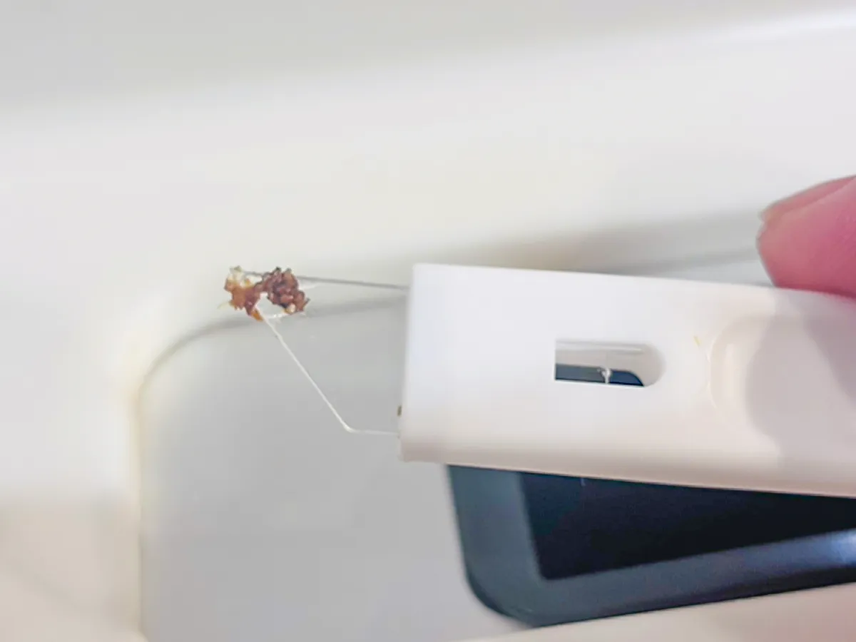 『かき出しヘラ』の写真（撮影：熊田朱実）