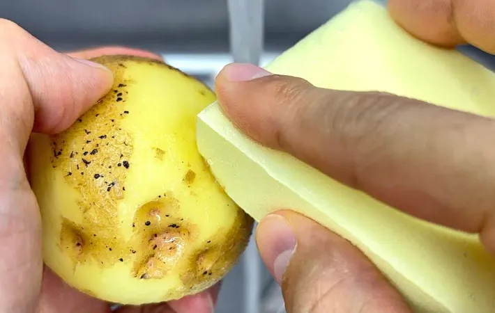 『野菜の皮むきスポンジ』の使用写真（撮影：キジカク）