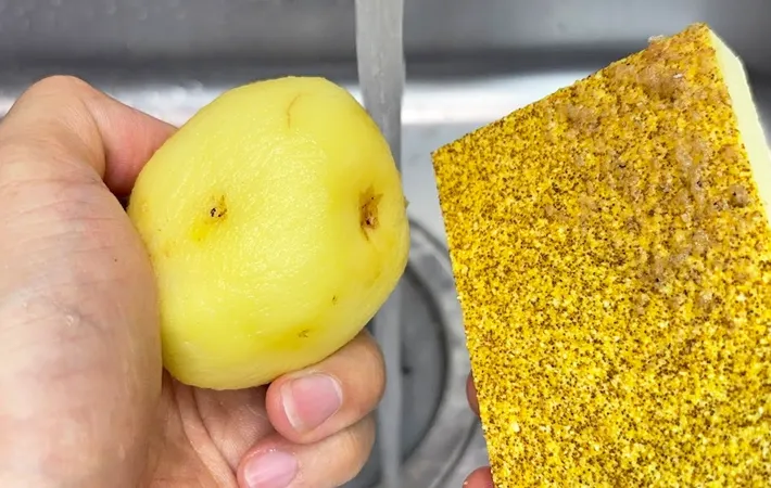 『野菜の皮むきスポンジ』の使用写真（撮影：キジカク）