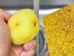 『野菜の皮むきスポンジ』を使う写真(撮影:キジカク)