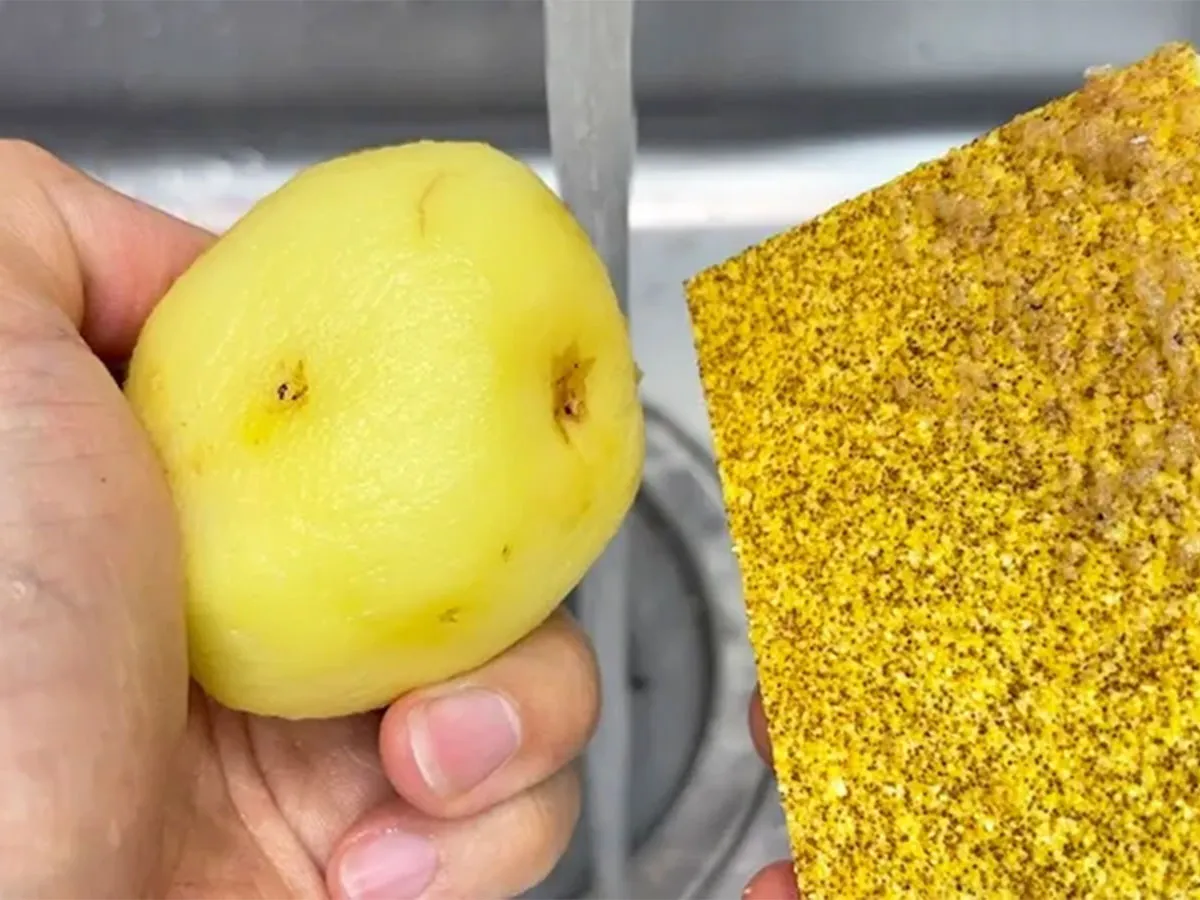 『野菜の皮むきスポンジ』を使う写真(撮影:キジカク)