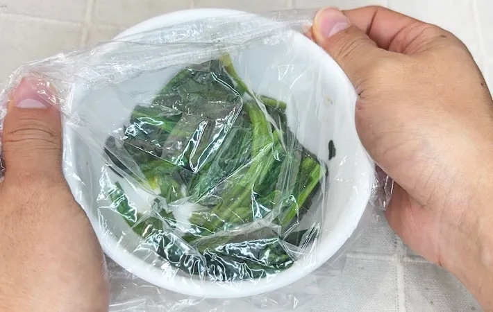 『ダイソー 食器用キャップ式カバー』の使用写真（撮影：キジカク）