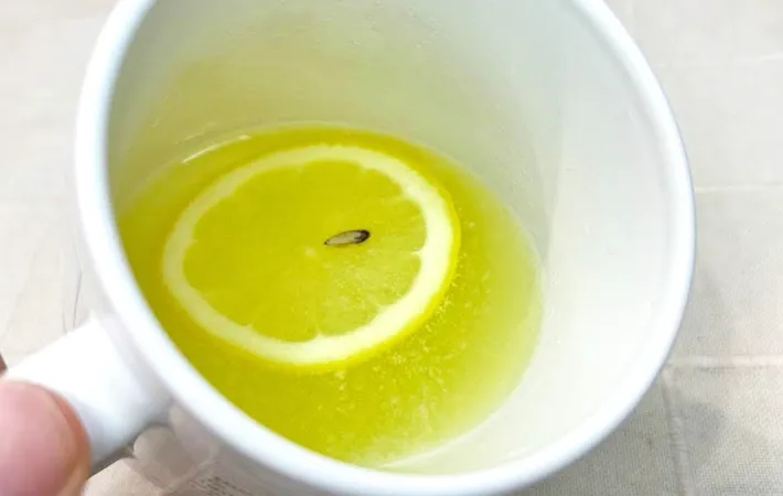 『ホットサクレレモン』の完成写真（撮影：キジカク）