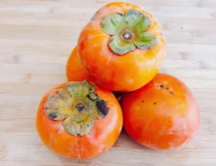 柿の写真（撮影：キジカク）