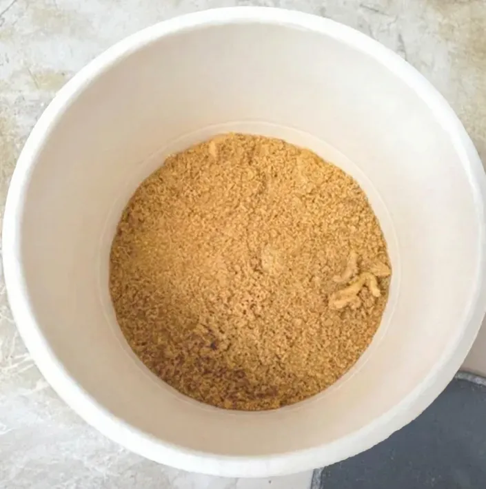 『カップヌードル　パンプキンパイ味』の写真（撮影：grape編集部）