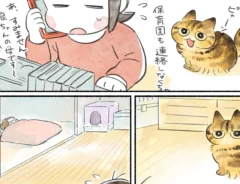 山麦まくらさんの漫画の画像