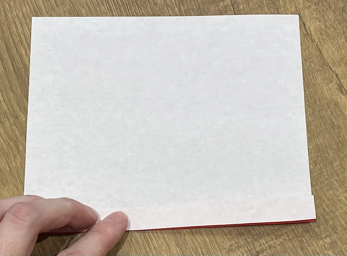 折り紙を折る写真（撮影：grape編集部）