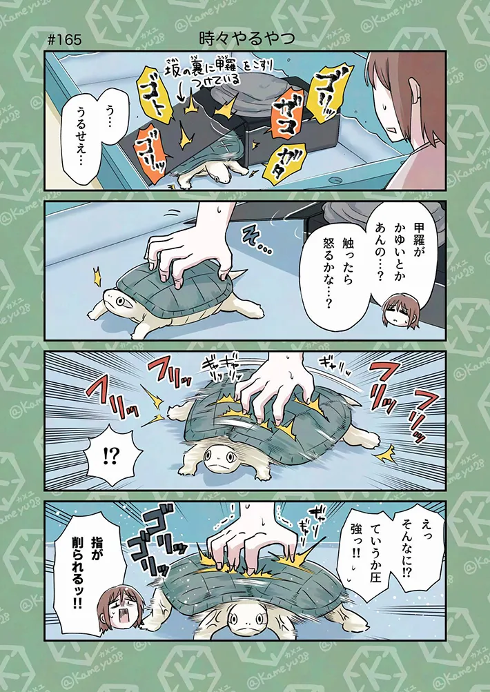 カメユさんの漫画の画像