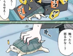 カメユさんの漫画の画像