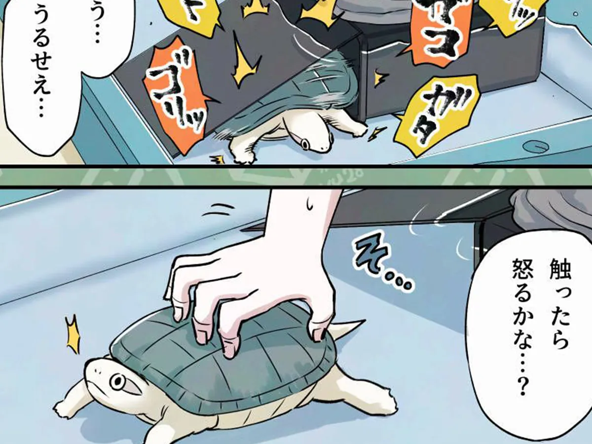 カメユさんの漫画の画像