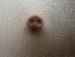 入浴中のマイクロブタの鼻