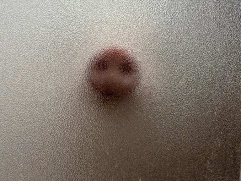 入浴中のマイクロブタの鼻