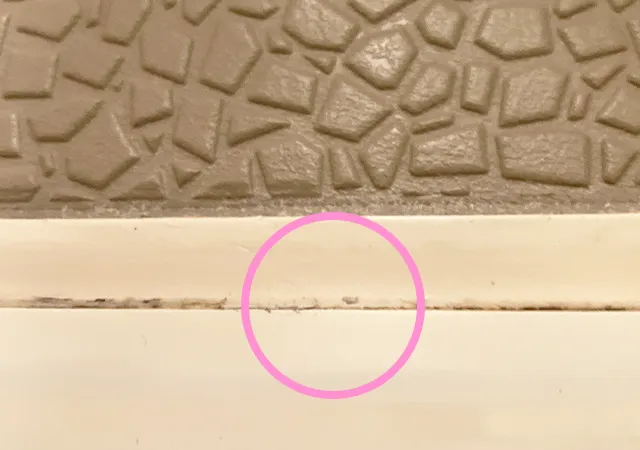 ドアの隙間の黒い水アカ（撮影：grape編集部）