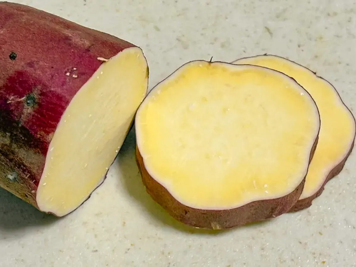 サツマイモの写真（撮影：grape編集部）