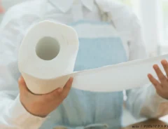 キッチンペーパーのイメージ写真
