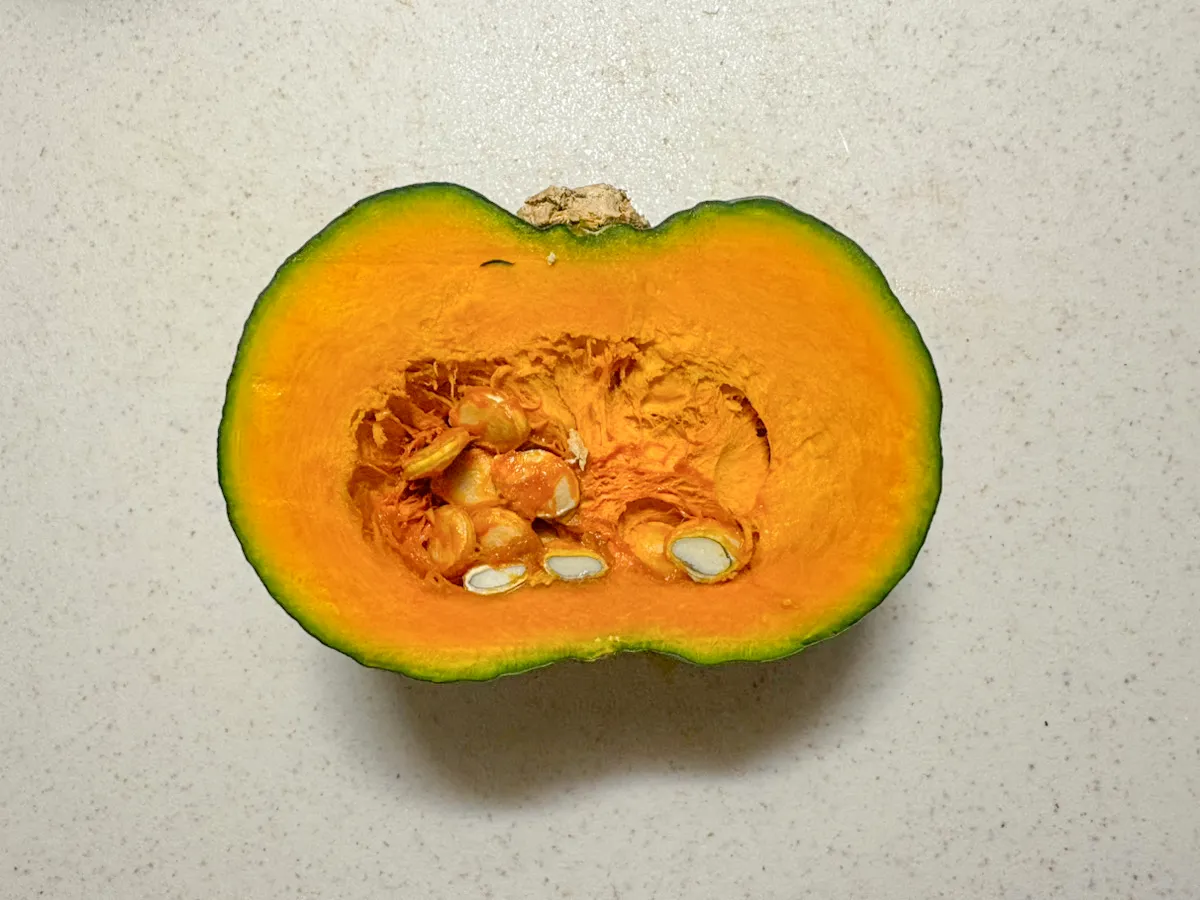 カボチャの写真（撮影：grape編集部）