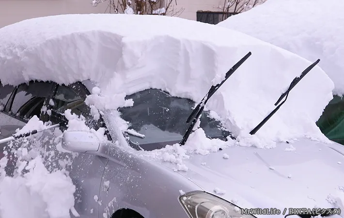 雪が積もった車の写真