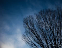 凍空のイメージ写真