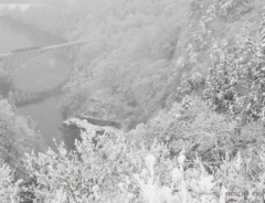 『冬将軍』のイメージ写真