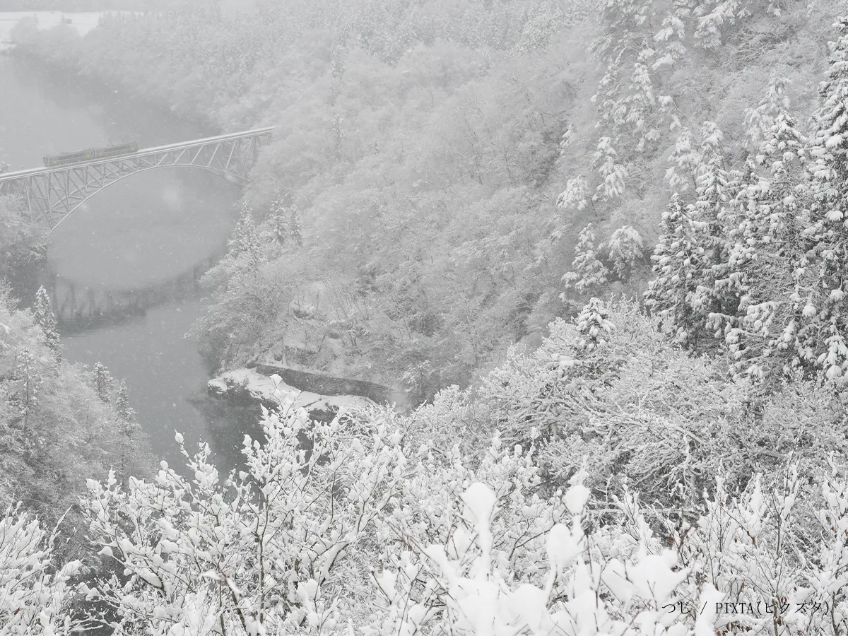 『冬将軍』のイメージ写真