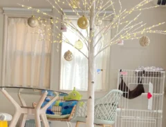 クリスマスツリーの写真